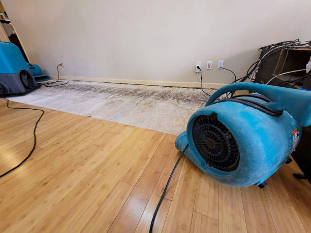 Professional Water Damage Repair technician working in Dighton, MA